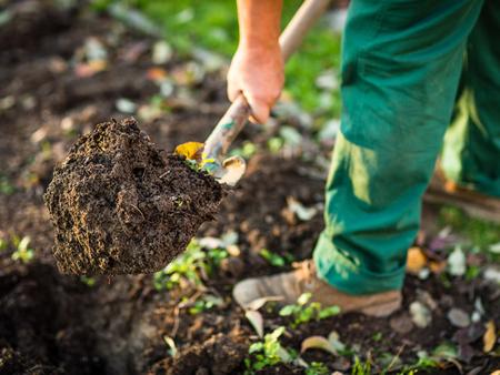 Gartenarbeit